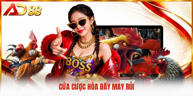 Đá Gà Thomo - Sân Chơi Cá Cược Trực Tuyến Đầy Kịch Tính Cửa cược hòa đầy may rủi
