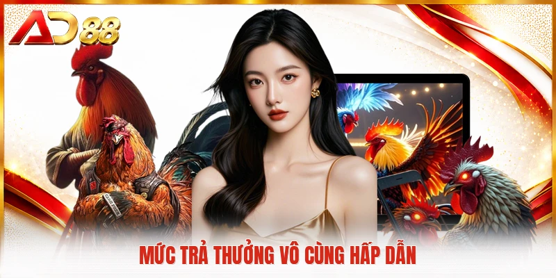 Đá Gà Thomo - Sân Chơi Cá Cược Trực Tuyến Đầy Kịch Tính Mức trả thưởng vô cùng hấp dẫn